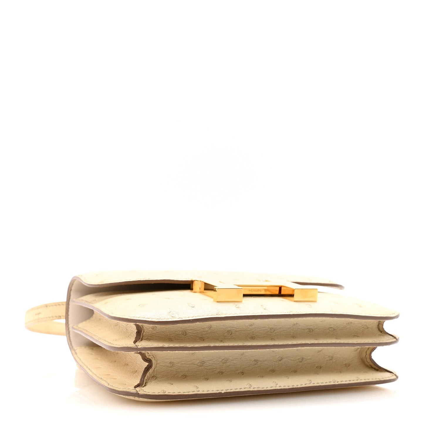 Ostrich Constance 18 Parchemin