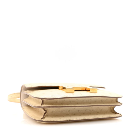 Ostrich Constance 18 Parchemin