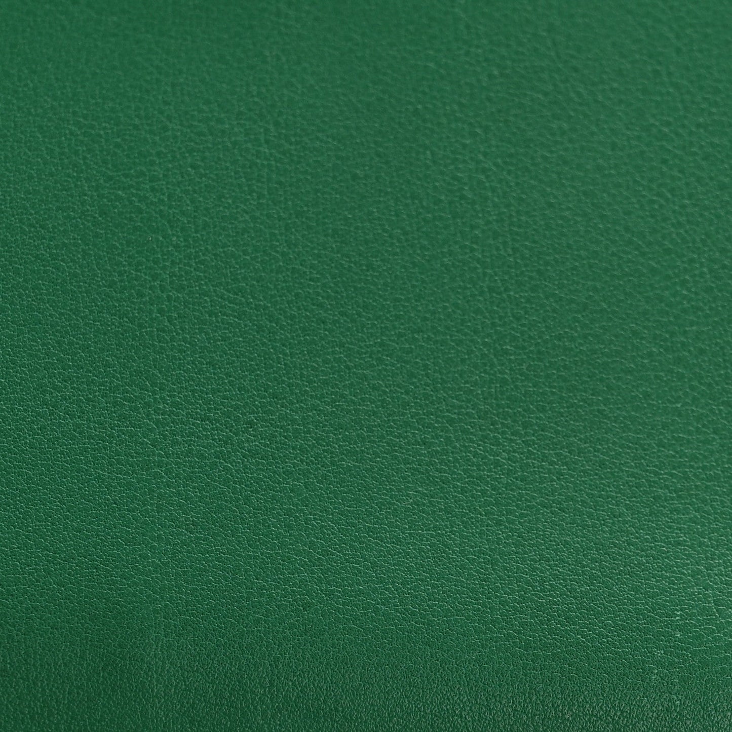 Swift Birkin 25 Vert Vertigo