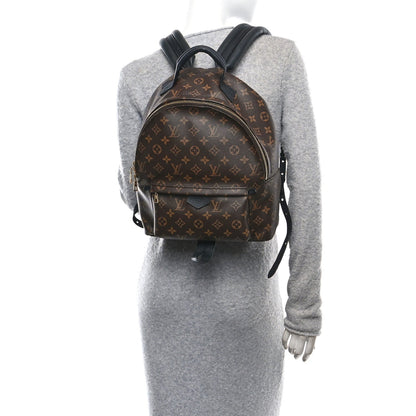 Monogram Palm Springs Backpack MM