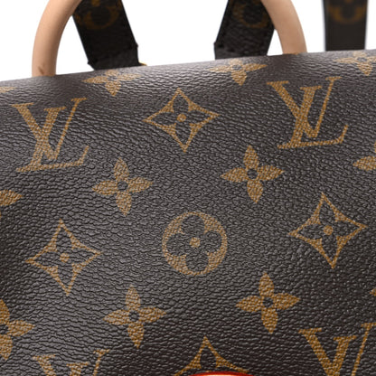 Monogram Montsouris PM Backpack