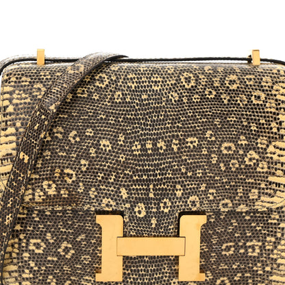 Lizard Constance 18 Ombre