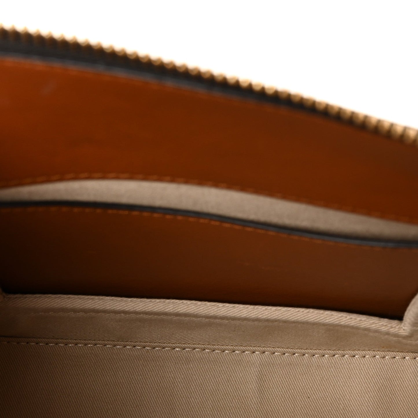 Calfskin Snakeskin Embossed Small Roy Bag Multicolor