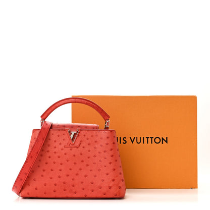 Ostrich Capucines BB Coquelicot