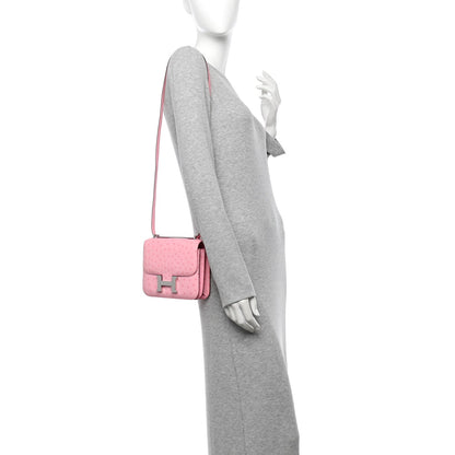 Ostrich Constance 18 Bubblegum
