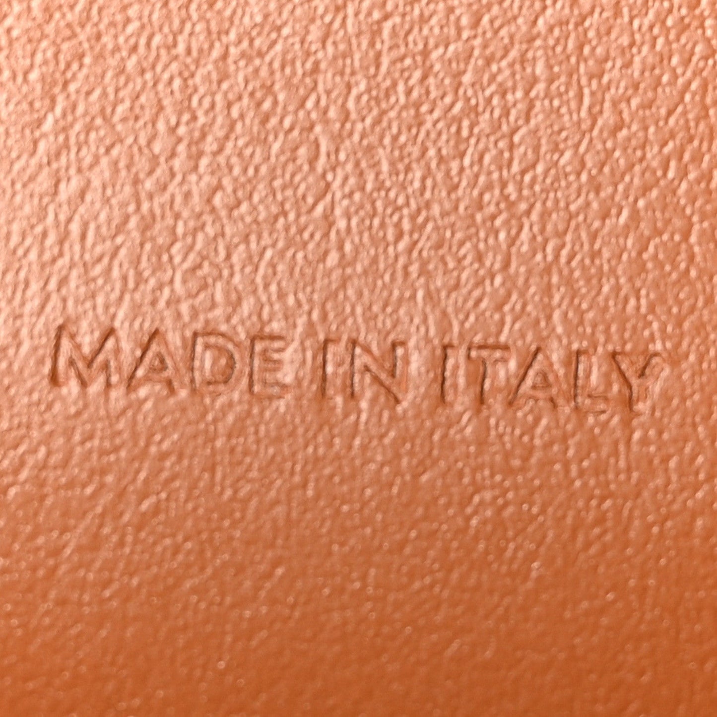 Triomphe Canvas Lambskin Wallet On Strap Tan