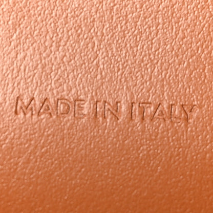 Triomphe Canvas Lambskin Wallet On Strap Tan