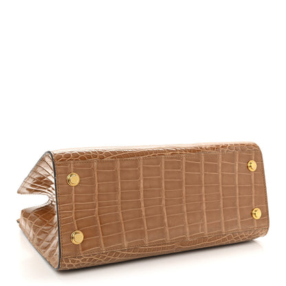 Alligator City Steamer MM Sienna Brown