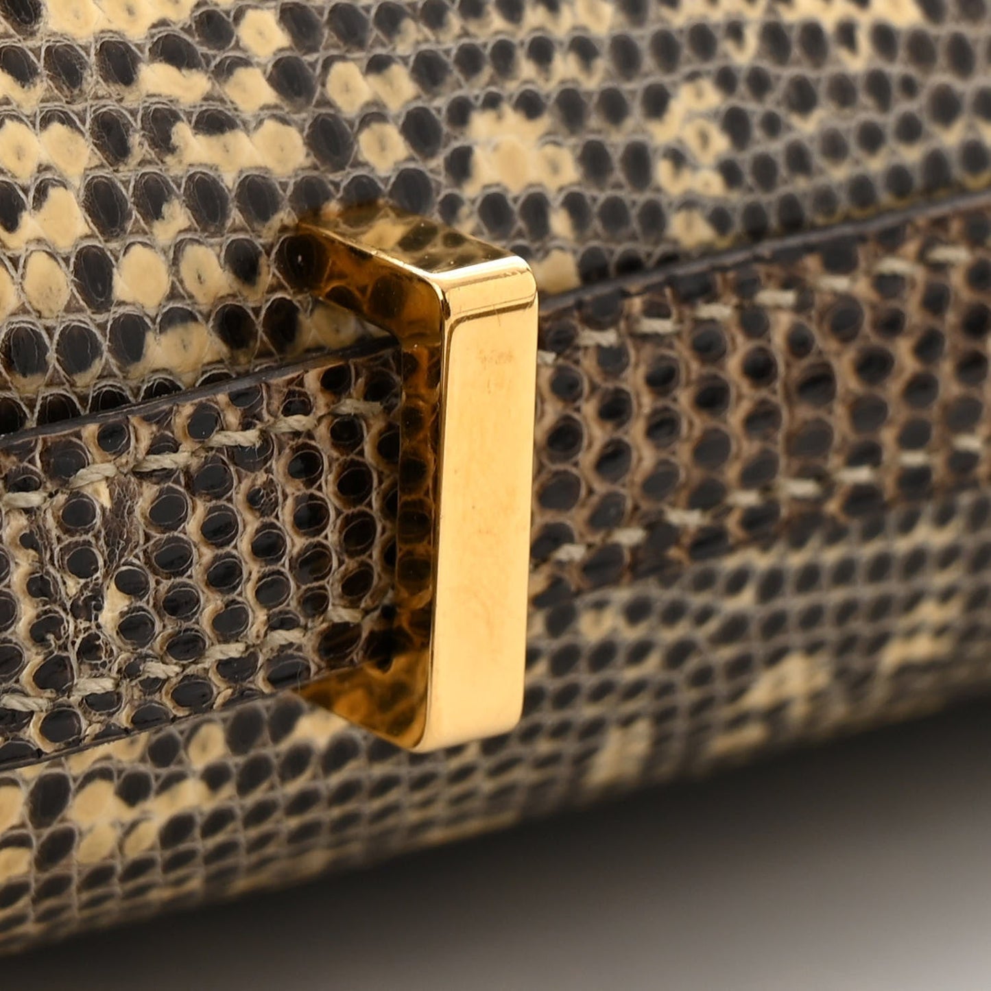 Lizard Constance 18 Ombre