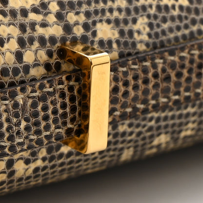 Lizard Constance 18 Ombre