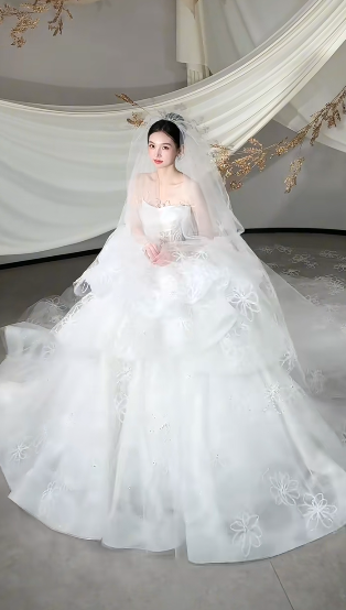 Dreamy White Ball Gown Starpless Tulle Lace With Veil Long Wedding Dresses C4114