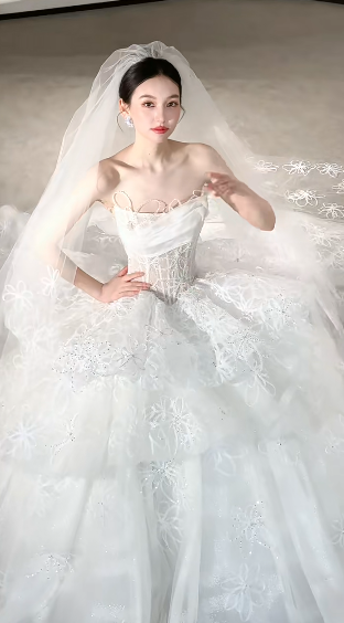 Dreamy White Ball Gown Starpless Tulle Lace With Veil Long Wedding Dresses C4114