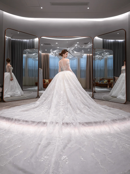 Dreamy Ball Gown Tulle Applique Long Sleeves With Veil Long Wedding Dresses C4226