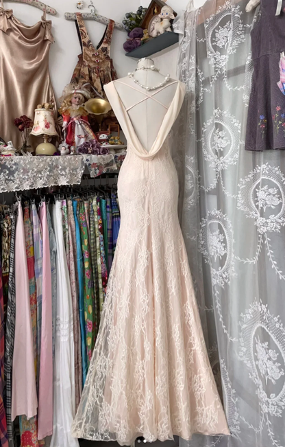 Pretty Light Pink Chiffon Lace Mermaid Evening Dress Backless Long Party Gown