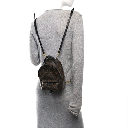 Monogram Palm Springs Backpack Mini