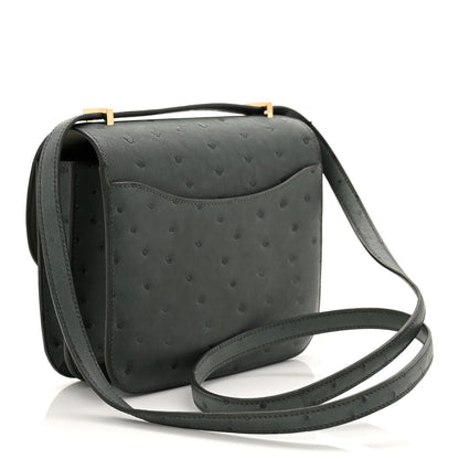 Ostrich Constance 18 Vert Amande