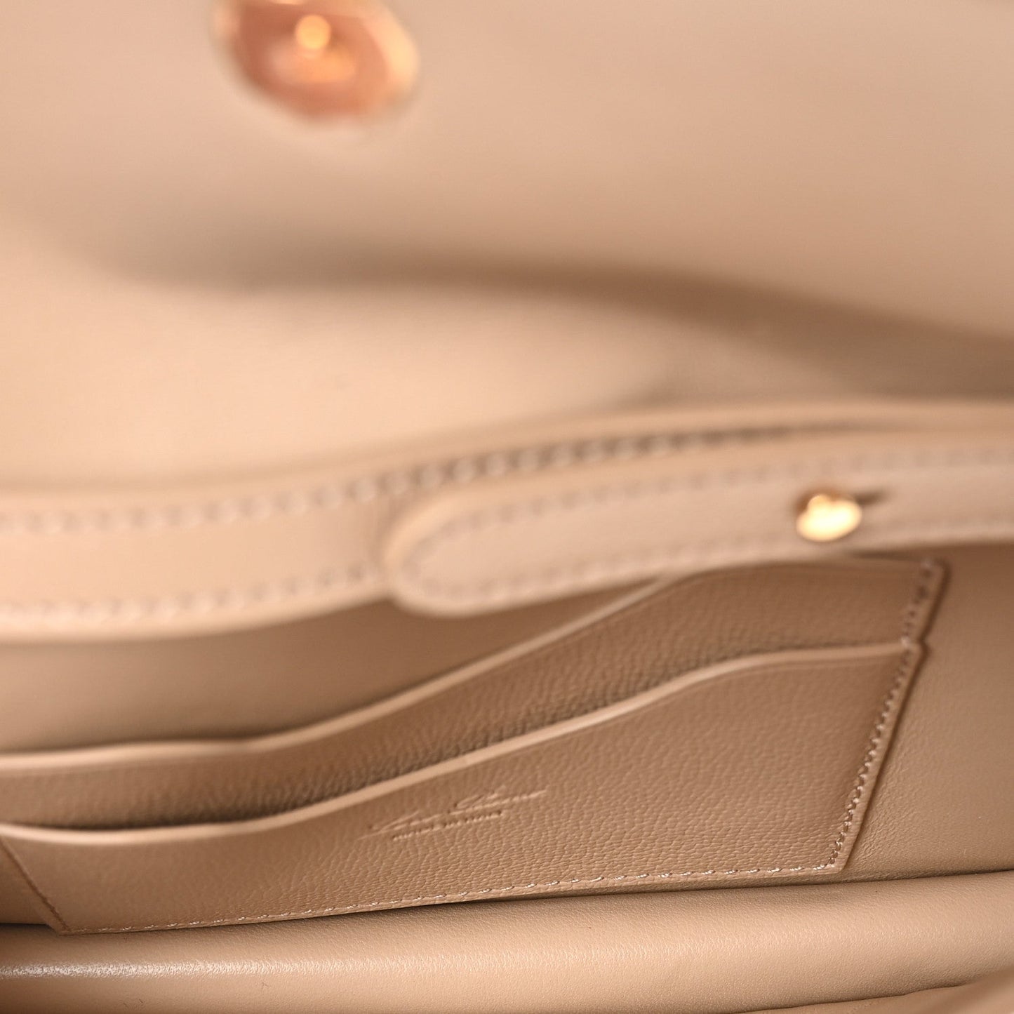 Grained Calfskin Extra Pochette Light Mastic Sun Gold