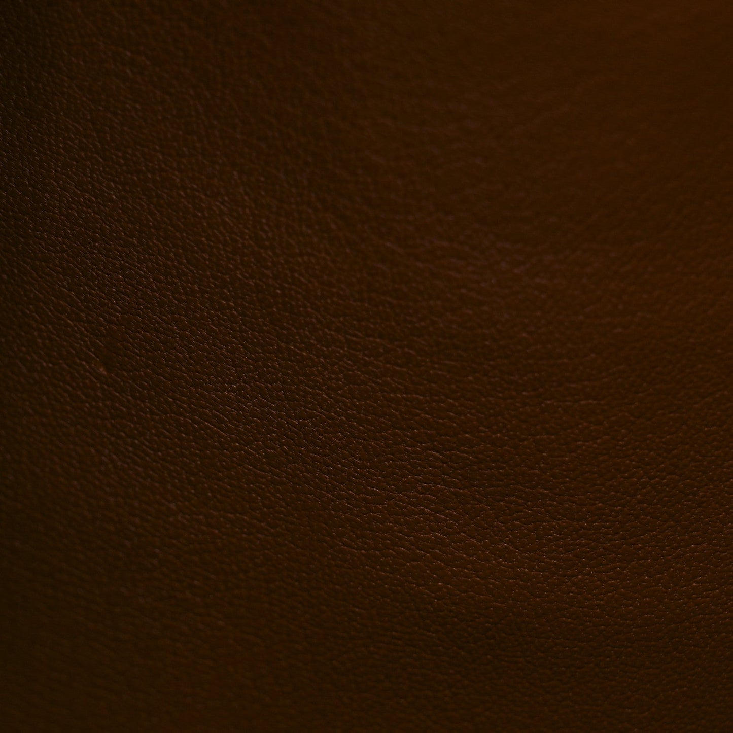 Alligator City Steamer MM Sienna Brown