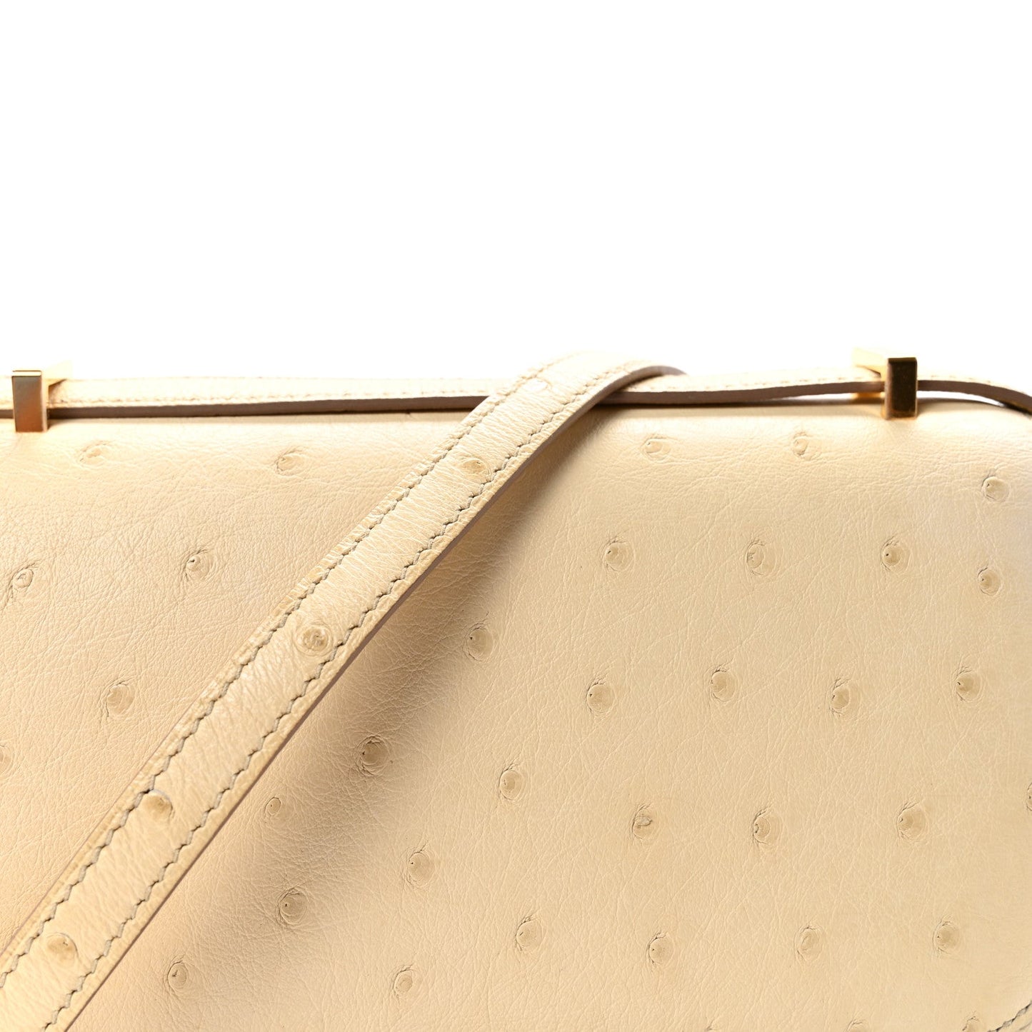 Ostrich Constance 18 Parchemin