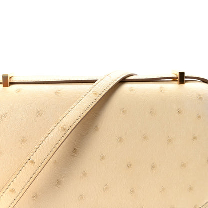 Ostrich Constance 18 Parchemin