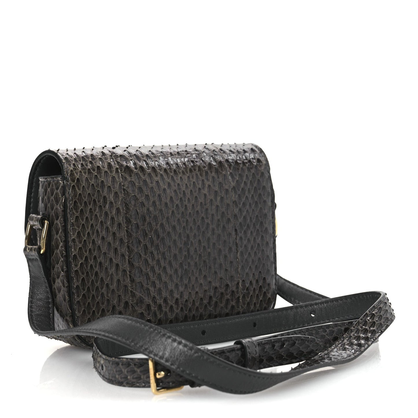 Watersnake Teen Triomphe Grey