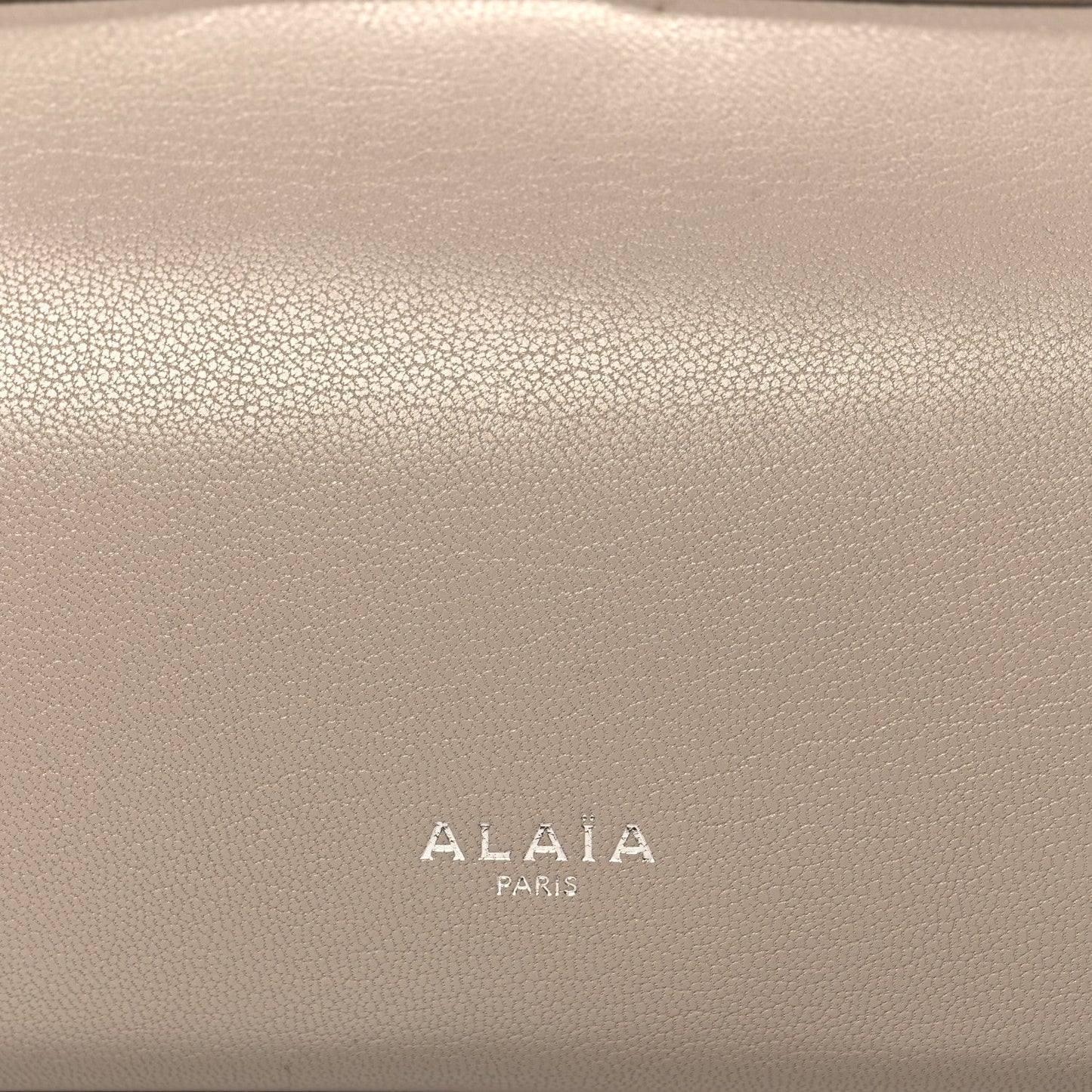 Shiny Goatskin Medium Le Teckel Bag Grege
