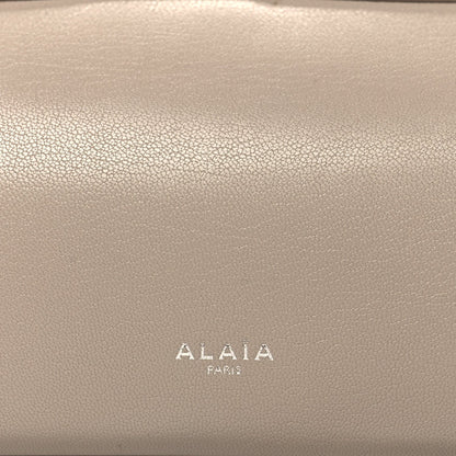 Shiny Goatskin Medium Le Teckel Bag Grege