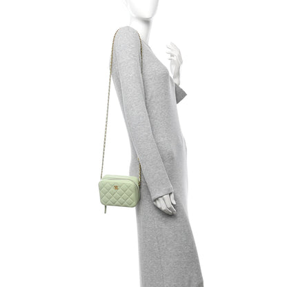 Lambskin Quilted CC Pearl Crush Camera Case Light Green