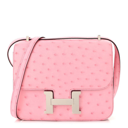 Ostrich Constance 18 Bubblegum