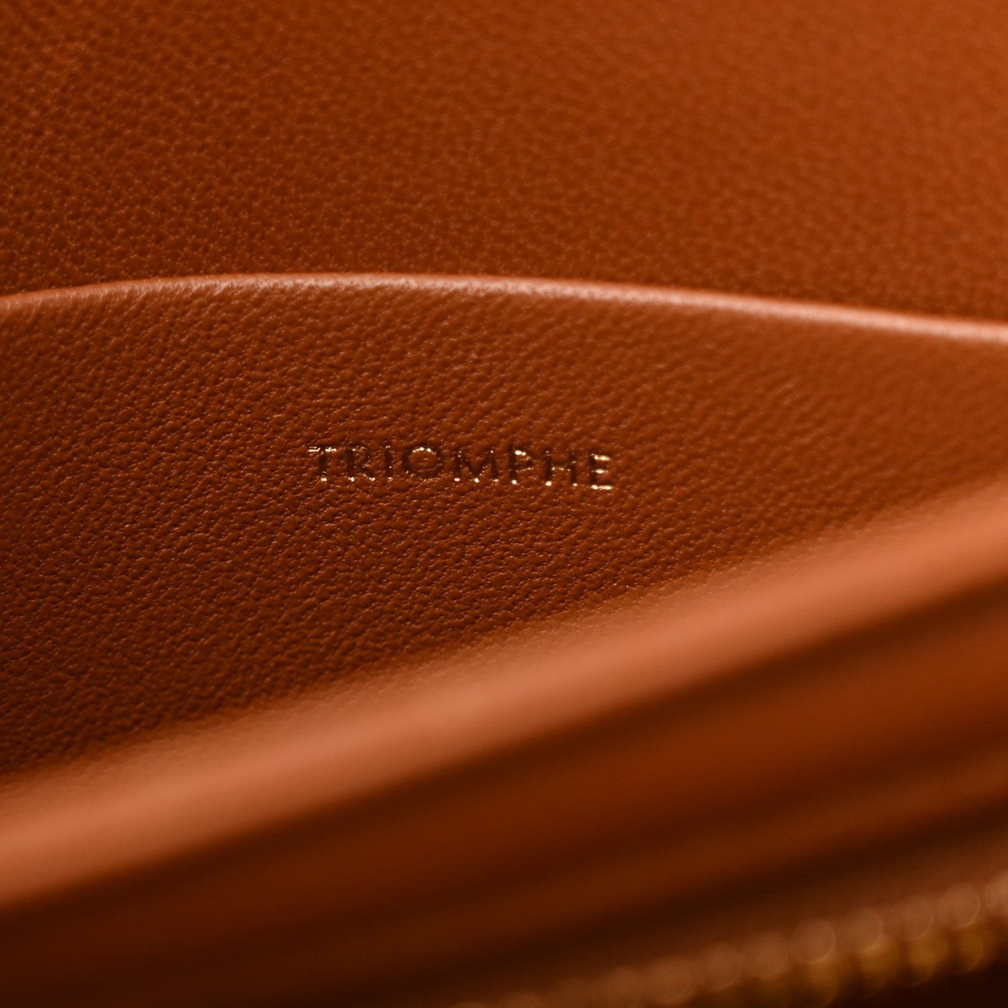 Calfskin Triomphe Canvas Teen Triomphe Bag Tan