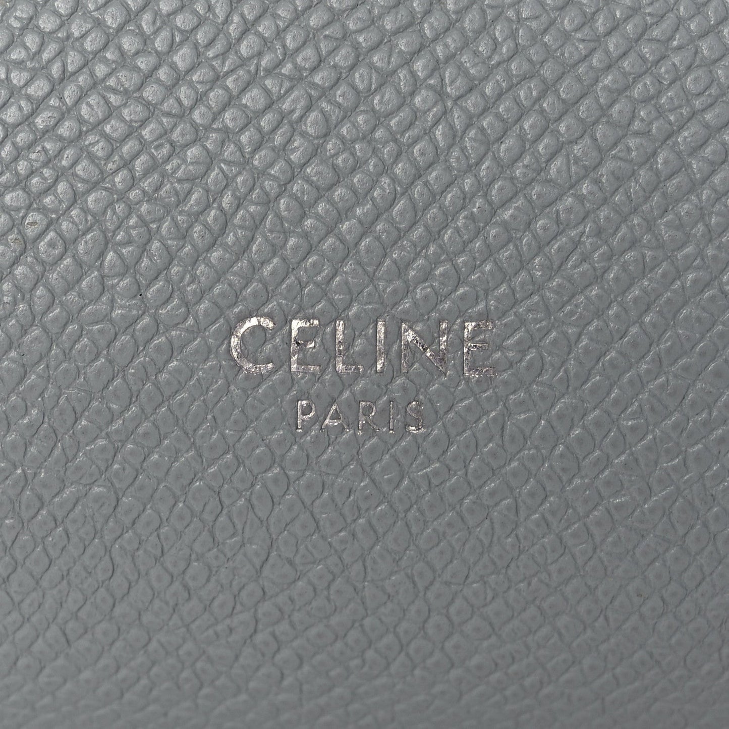 Grained Calfskin Nano Belt Bag Mineral