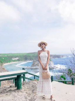 Lace Embroidery Halter Neck Dress Holiday Slim Fit Long Dress Backless Fishtail Beach Dress Women R0185