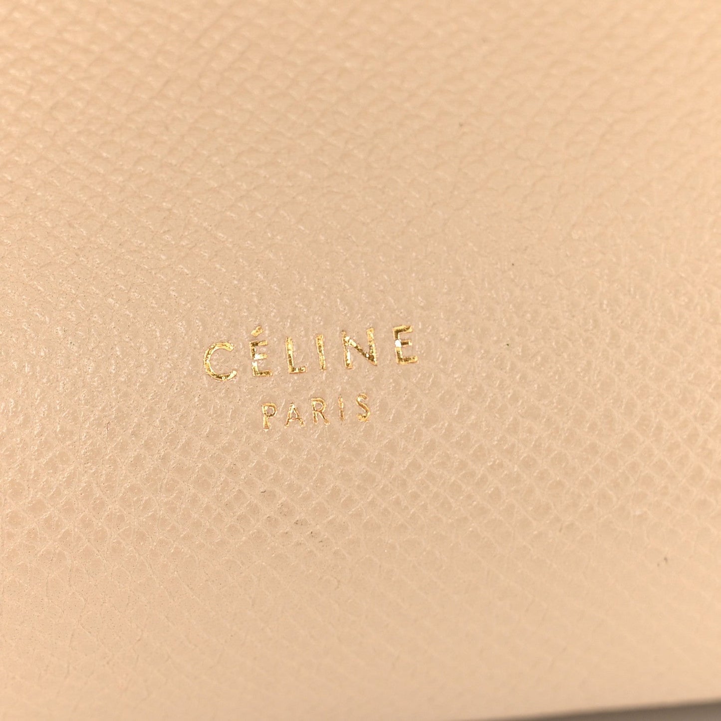 Baby Grained Calfskin Micro Belt Bag Light Taupe