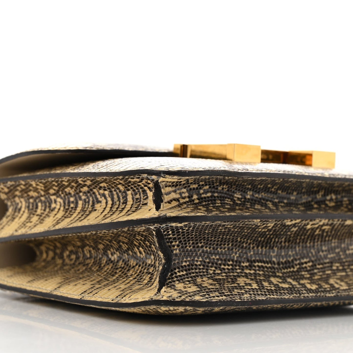 Lizard Constance 18 Ombre