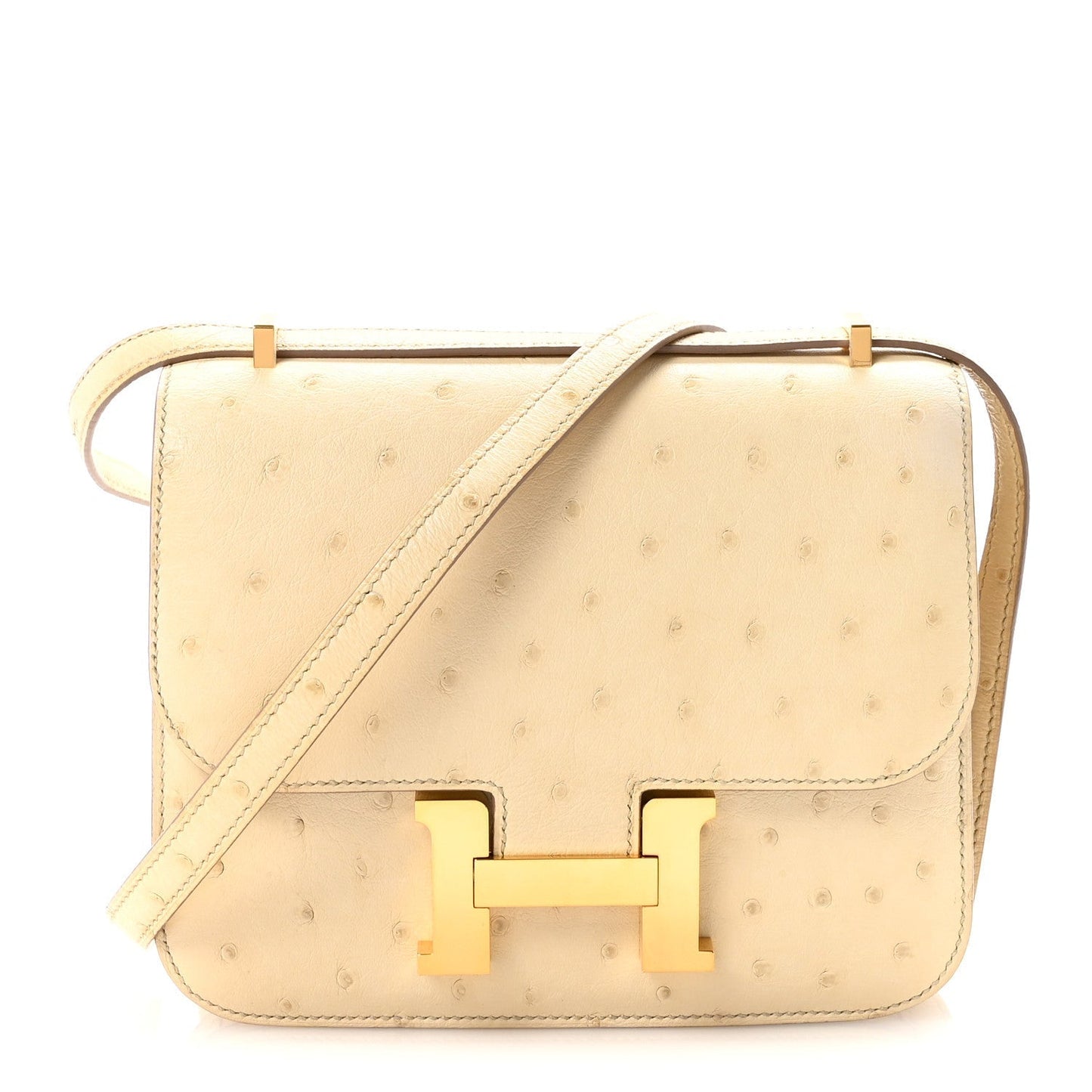 Ostrich Constance 18 Parchemin