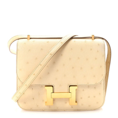 Ostrich Constance 18 Parchemin
