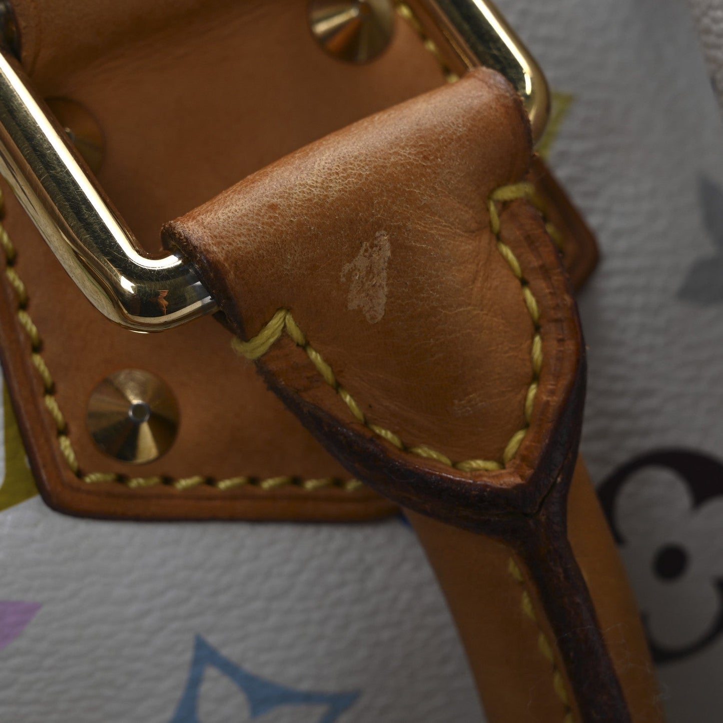 Monogram Multicolor Speedy 30 White