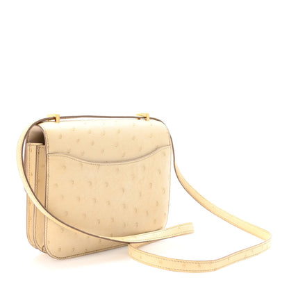 Ostrich Constance 18 Parchemin
