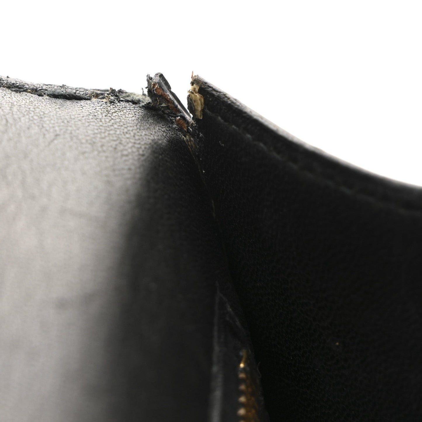 Shiny Caiman Crocodile Constance 23 Black
