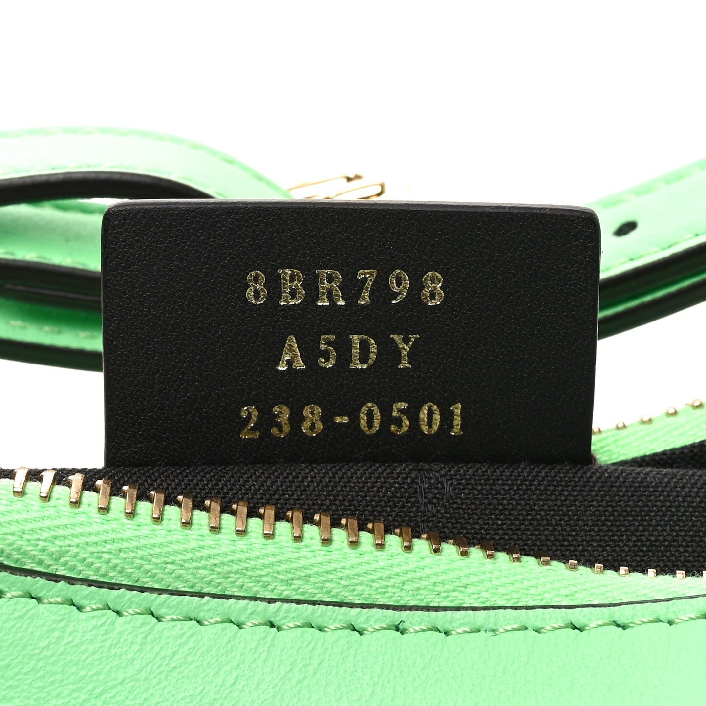 Vitello Grace Matte Small Fendigraphy Hobo Bag Edamame