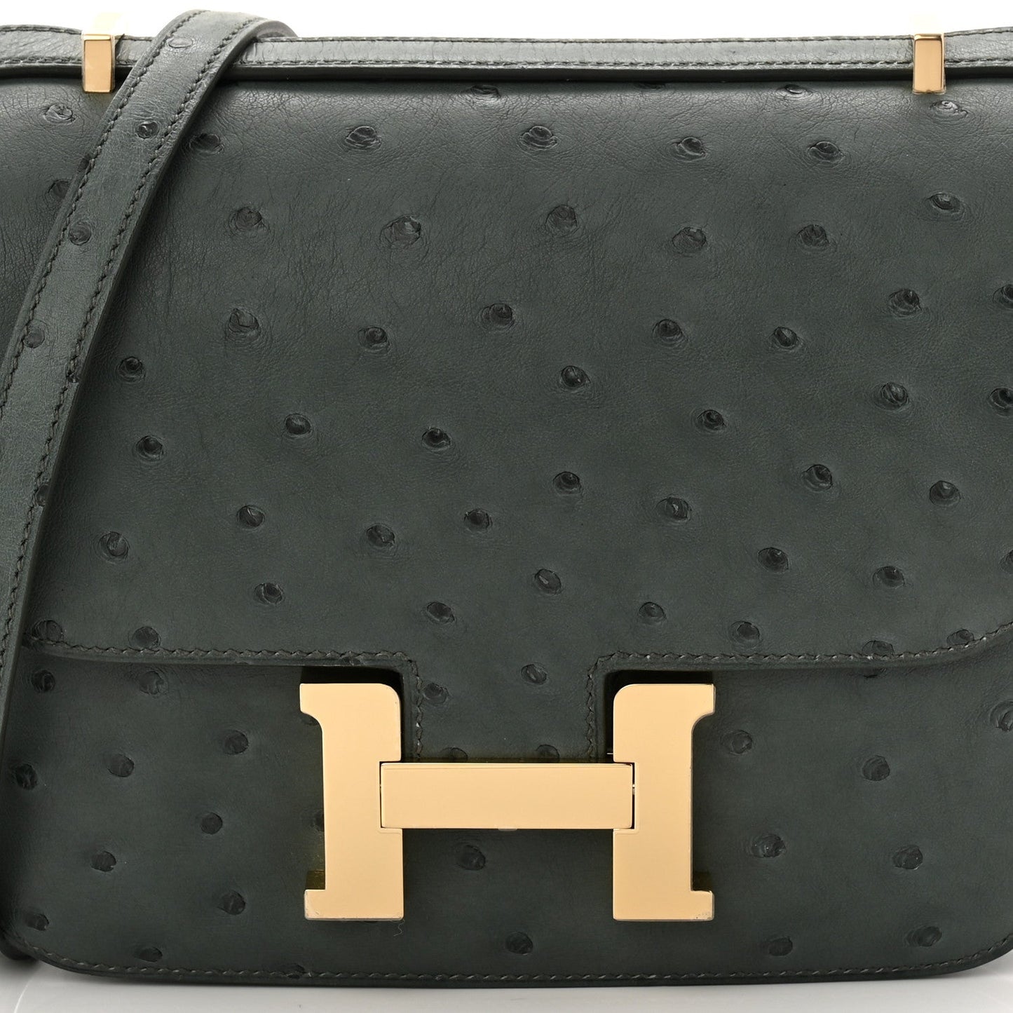 Ostrich Constance 18 Vert Amande