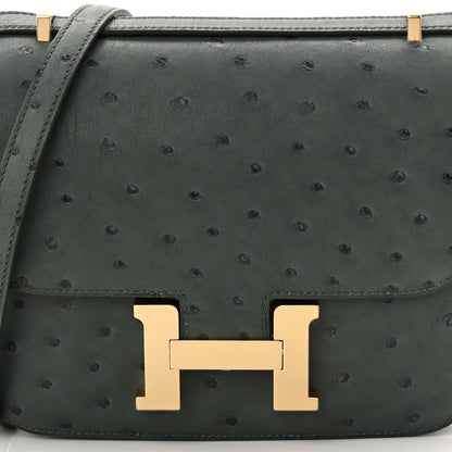 Ostrich Constance 18 Vert Amande