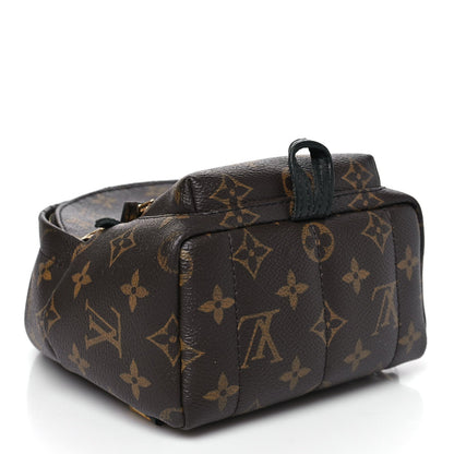 Monogram Palm Springs Backpack Mini