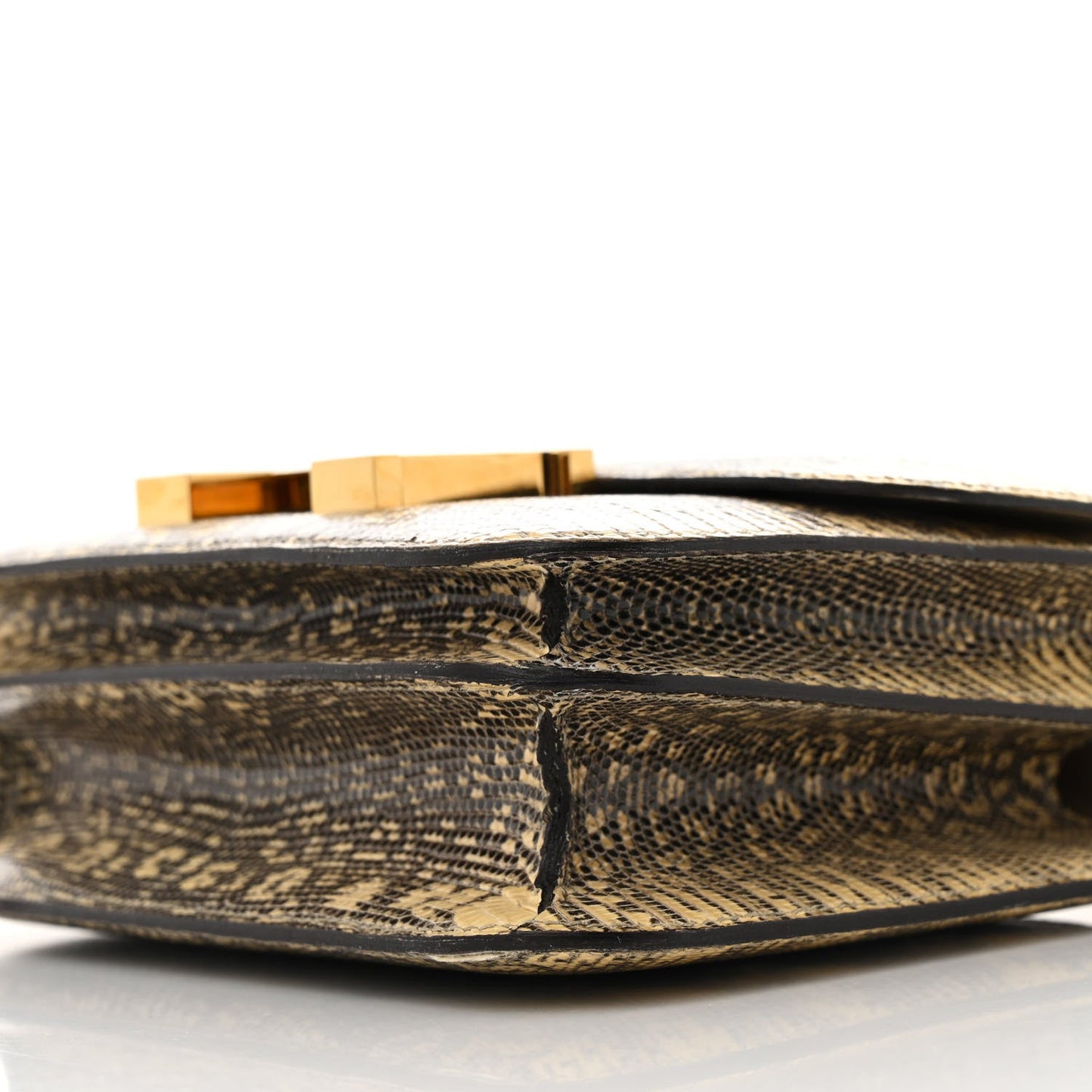 Lizard Constance 18 Ombre