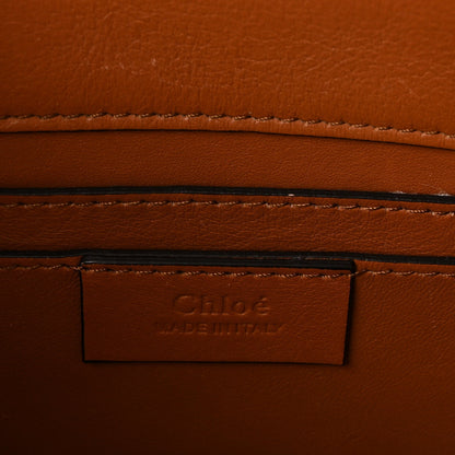 Calfskin Snakeskin Embossed Small Roy Bag Multicolor