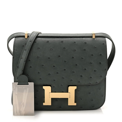 Ostrich Constance 18 Vert Amande
