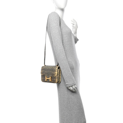 Lizard Constance 18 Ombre
