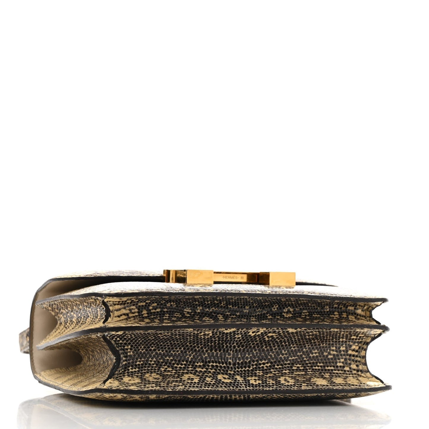Lizard Constance 18 Ombre