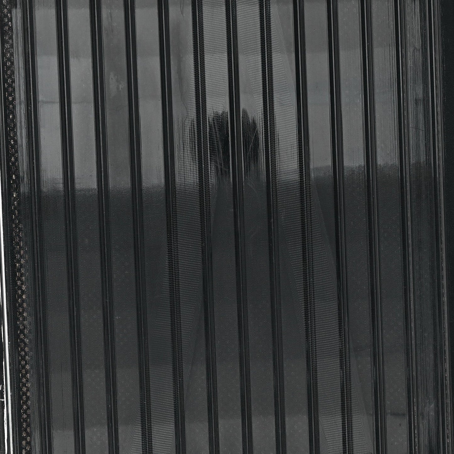 X RIMOWA Polycarbonate Luggage Transparent