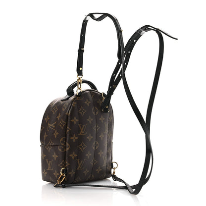 Monogram Palm Springs Backpack Mini
